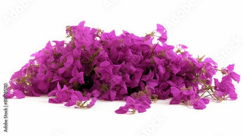 Wallpaper Mural AI generated illustration of purple flowers with stems on a white background Torontodigital.ca