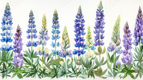 A painting of a field of blue flowers with a white background. The flowers are in various stages of bloom  with some fully open and others partially closed. The overall mood of the painting is serene