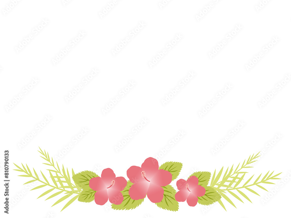 Obraz premium ハイビスカスのイラストのフレーム