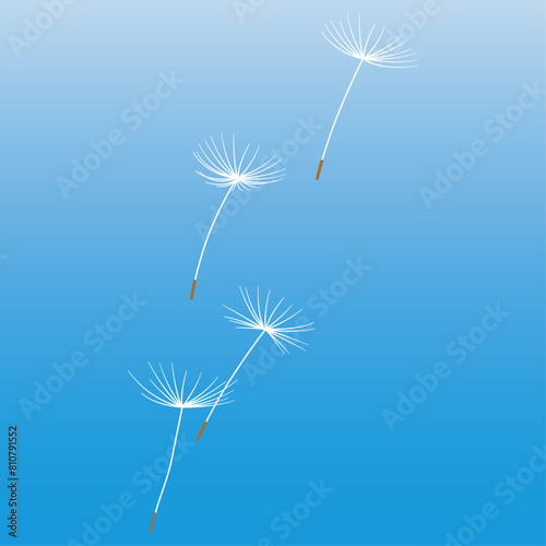 dandelion in the wind