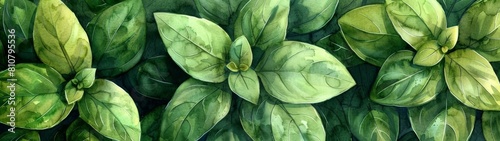 Basil Leaves wallpaper, in watercolor style, features fragrant green leaves carpeting the ground. Their pungent aroma and culinary versatility evoke Mediterranean charm.