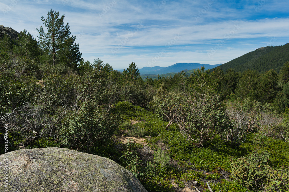 landscape, view, mountains, spring, nature, plants, spain, green
