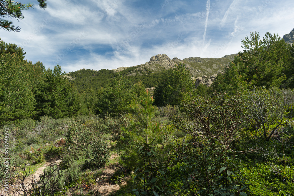 landscape, view, mountains, spring, nature, plants, spain, green