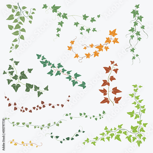 Floral ivy drawing decorative ornament flat design collection. © tanarch