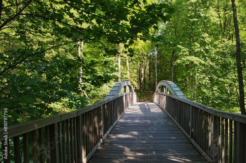 Holzbrücke - Brandenburg - Deutschland - Werbellinsee - Barnim - Biosphärenreservat - Schorfheide - Werbellinkanal - Natur - Landschaft - Background - Grün