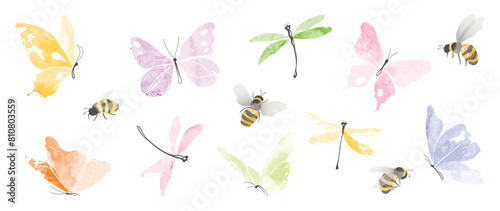 Set of insects garden elements vector. Collection of dragonfly, bee and butterfly colorful. Watercolor insects illustration design for logo, wedding, invitation, decor, print, card.