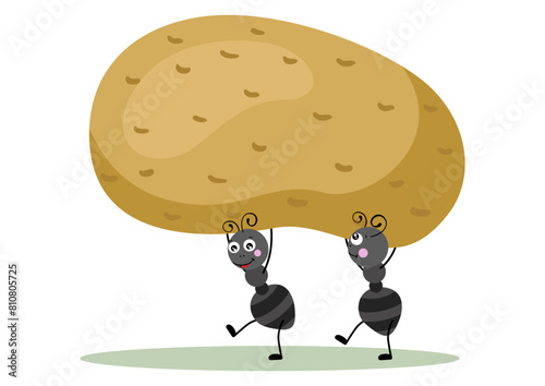 Cute two ants carrying a potato
