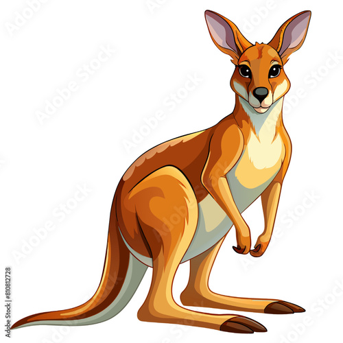a cute kangaroo isolated on a white background