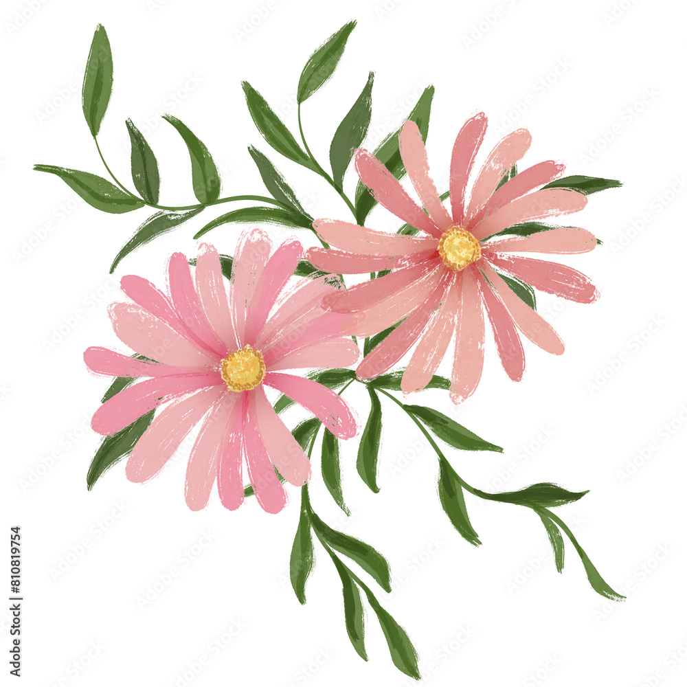 Two aster flowers with leaves Two aster flowers with leaves