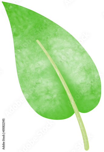 green leaf watercolors 