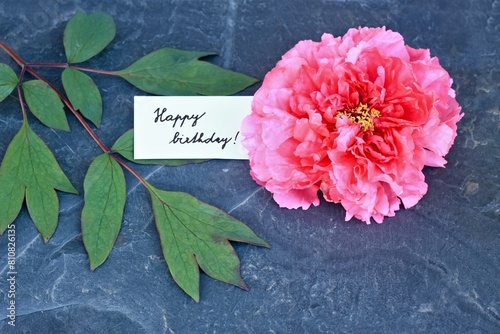 Happy birthday card placed next to red flower head of tree peony, lat. Paeonia suffruticosa. Birthday greeting card with beautiful Chinese tree peony flower and leaf on the stone.