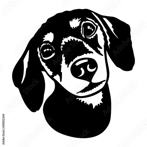 Dachshund Puppy - Funny Dog, Vector File, Cut Stencil for Tshirt