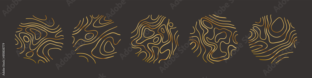 Circular wood rings or topographic map lines texture set. Wood tree topographic abstract lines collection flat style design vector illustration contour isolated pattern design. Circular wood rings or topographic map lines texture set. Wood tree topographic abstract lines collection flat style design vector illustration contour isolated pattern design.