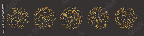 Circular wood rings or topographic map lines texture set. Wood tree topographic abstract lines collection flat style design vector illustration contour isolated pattern design.