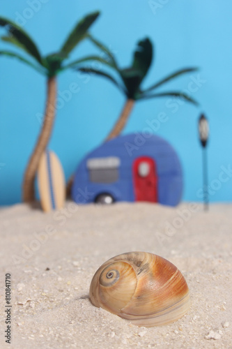 Summertime Beach Scene With Shells and Palm Trees Shallow DOF