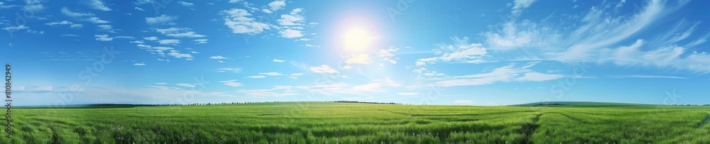 Green field under bright sun. Midsummer, Summer Solstice holiday. Panoramic landscape, ultra wide angle. Nature and summer concept Green field under bright sun. Midsummer, Summer Solstice holiday. Panoramic landscape, ultra wide angle. Nature and summer concept