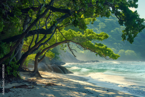 A beach with a tree in the foreground and a body of water in the background © Napat