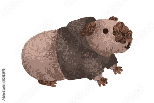 Guinea pig in hoody. Cute cavy. Funny kawaii rodent pet with soft fur. Adorable little animal in clothes, comic kids style. Cuddly character. Flat vector illustration isolated on white background photo