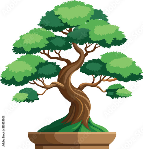 juniper bonsai tree vector illustration