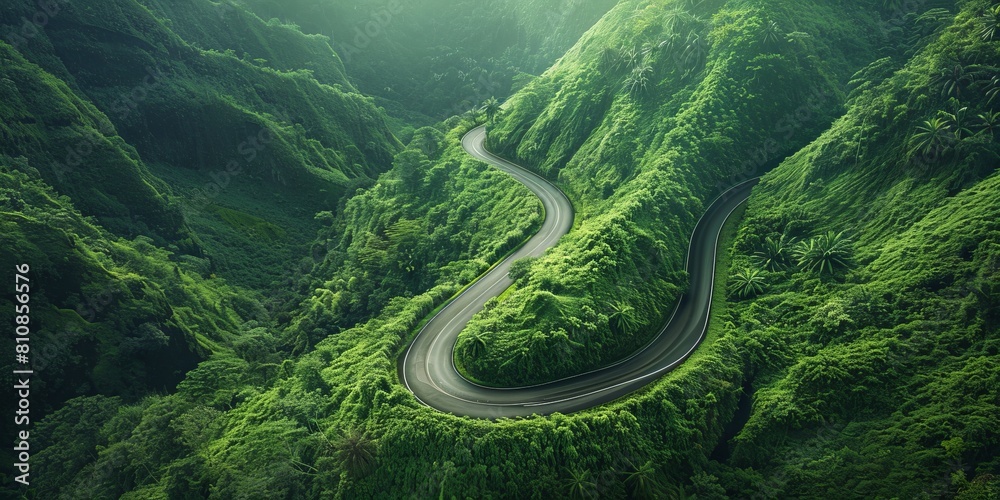 Winding Mountain Road. Surrounded with Lush Green Vegetation.