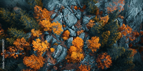 Aerial view of autumn forest and rocky terrain