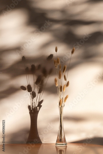 Beautiful moment when the sunlight filters through the leaves of trees, komorebi