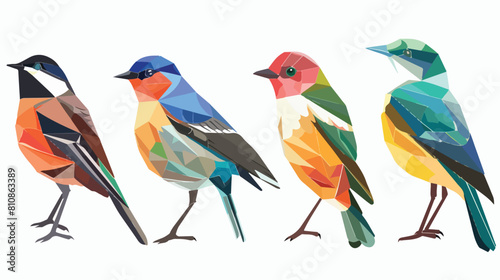 Bundle of city and wild forest birds drawn in modern