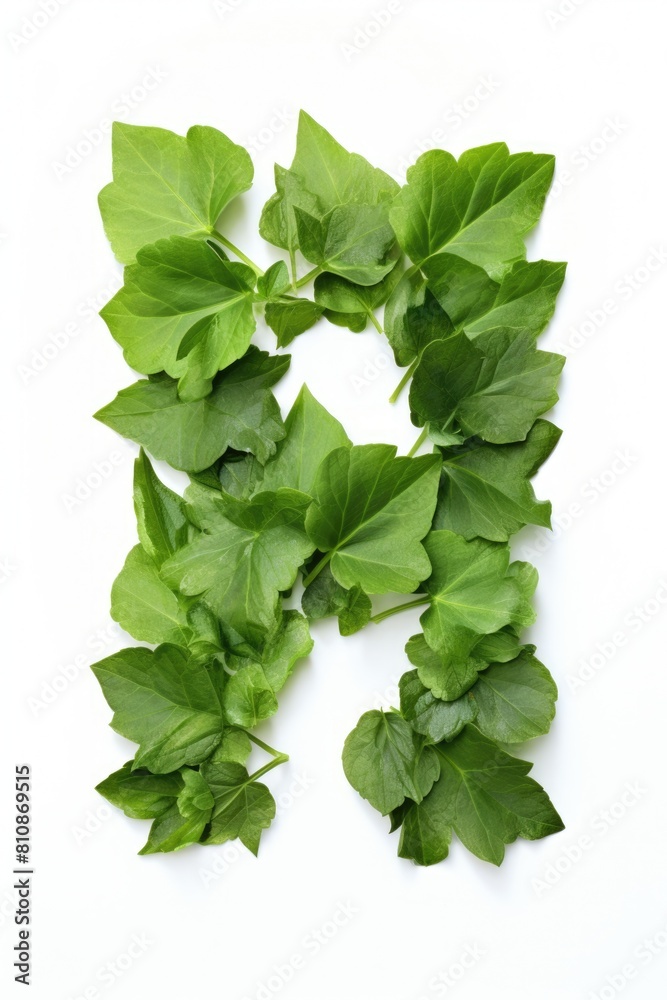 Fototapeta premium Green Leafy Plant Growing Upwards