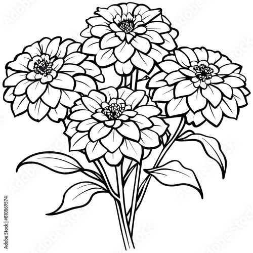 Zinnia Flower outline illustration coloring book page design, Zinnia Flower black and white line art drawing coloring book pages for children and adults