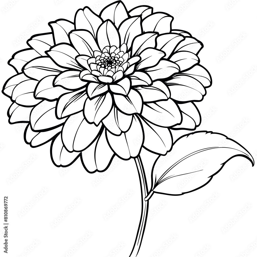 Zinnia Flower outline illustration coloring book page design, Zinnia Flower black and white line art drawing coloring book pages for children and adults Zinnia Flower outline illustration coloring book page design, Zinnia Flower black and white line art drawing coloring book pages for children and adults