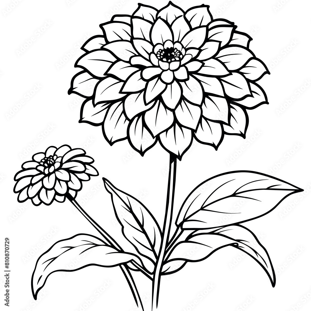 Zinnia Flower outline illustration coloring book page design, Zinnia Flower black and white line art drawing coloring book pages for children and adults