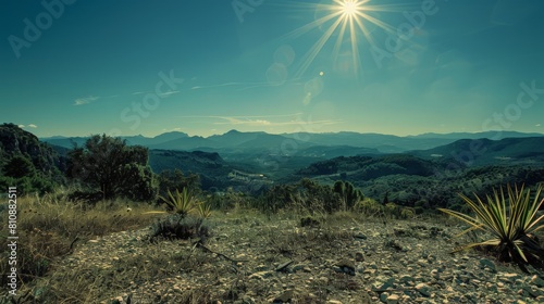 Sunlit Desert Landscape