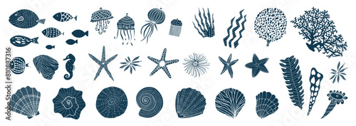 Sea animals and water plants. Vector illustration on a transparent background. Illustration icon set of various sea creatures (seashells, starfish,jellyfish, coral, seaweed, and tropical fish)