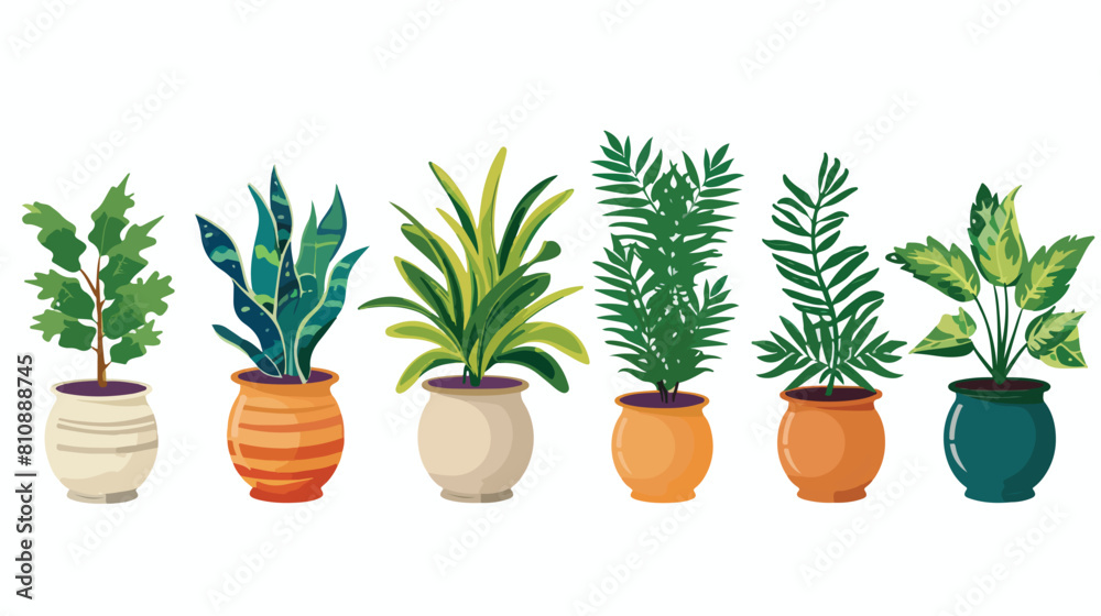 houseplant with potted isolated icon Vector illustration