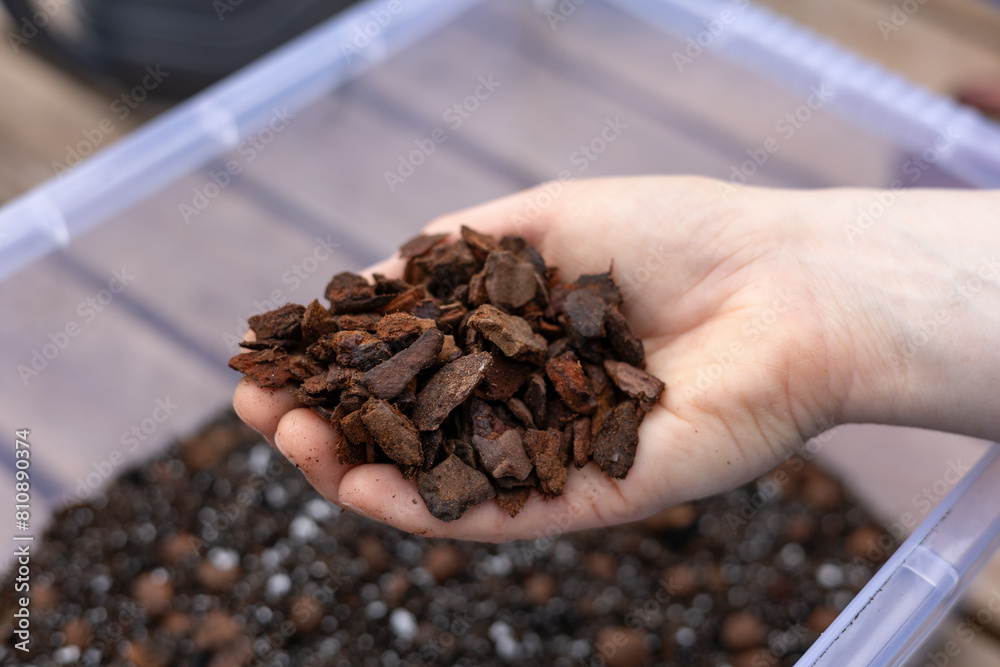 Small fraction pine bark compost substrate medium in hand for planting