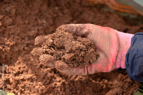 gardener applying sharp horticultural sand organic spring garden job