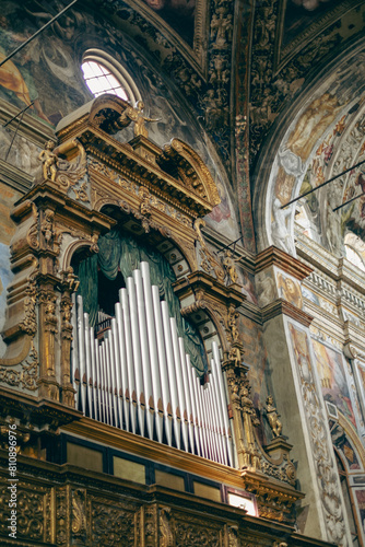 Gold pipe organ of the Parma Cathedral.