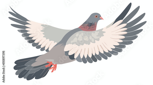 Flying pigeon flat vector illustration. Grey dove spr