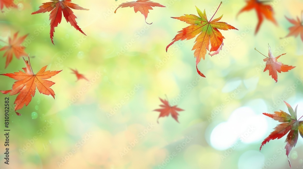 Floating autumn leaves with warm backlighting, perfect for seasonal and nature-related content. Floating autumn leaves with warm backlighting, perfect for seasonal and nature-related content.
