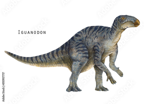 Iguanodon illustration. herbivorous dinosaur. Grey dino art