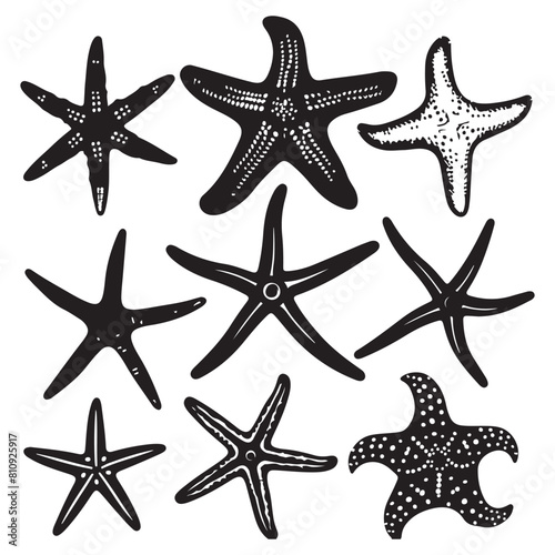 Starfish vector silhouette. Atlantic star animal icon set