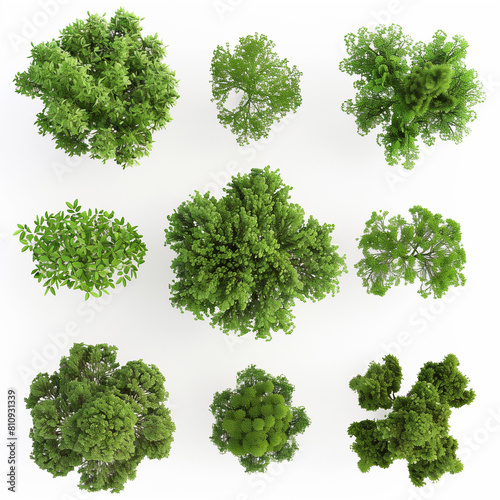  Overhead View  Assorted Green Tree Silhouettes Set  Transparent Backgrounds  3D Render  Clean White Backdrop. 