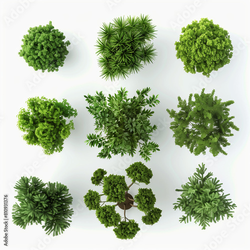 "Overhead View: Assorted Green Tree Silhouettes Set, Transparent Backgrounds, 3D Render, Clean White Backdrop."