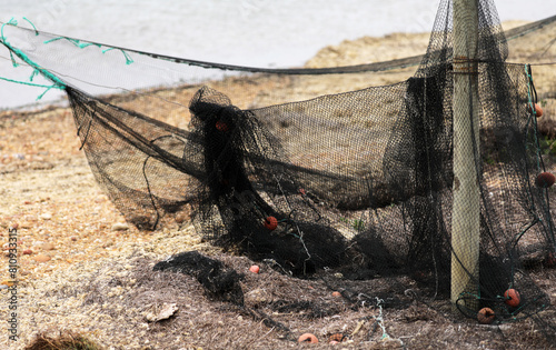 Fishing net in the harbor