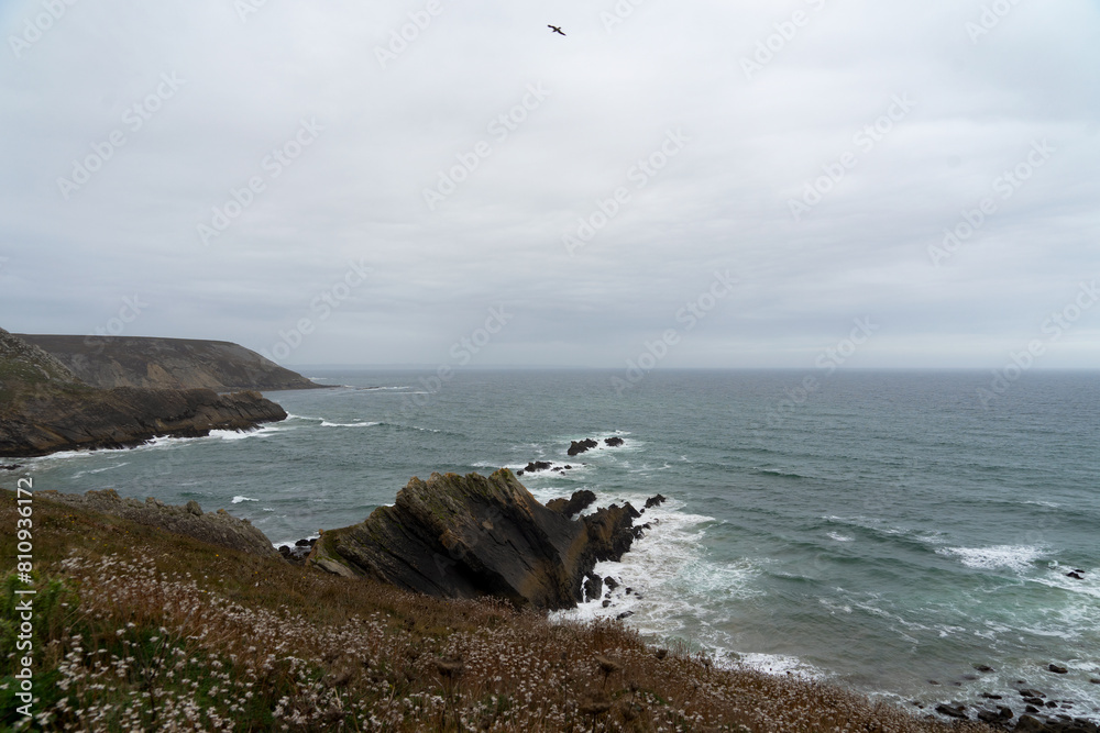 Parterre de végétation maritime et falaises sur la côte sauvage de la presqu'île de Crozon, face à la mer d'Iroise en Bretagne : un paysage époustouflant. Parterre de végétation maritime et falaises sur la côte sauvage de la presqu'île de Crozon, face à la mer d'Iroise en Bretagne : un paysage époustouflant.