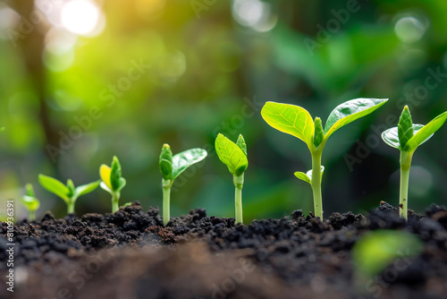 A prosperous scene of a seedling growth nurtured by a loan prospect, showcasing financial expansion and investment prospects, as the monetary development blooms into a symbol of loan financing photo
