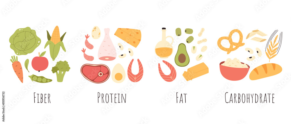 Set of healthy macronutrients. proteins, fats and carbs or carbohydrates presented by food products. Flat vector illustration of nutrition categories isolated on white background