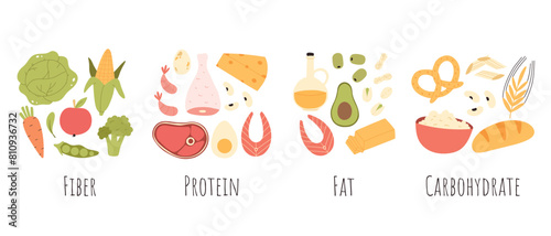 Set of healthy macronutrients. proteins  fats and carbs or carbohydrates presented by food products. Flat vector illustration of nutrition categories isolated on white background