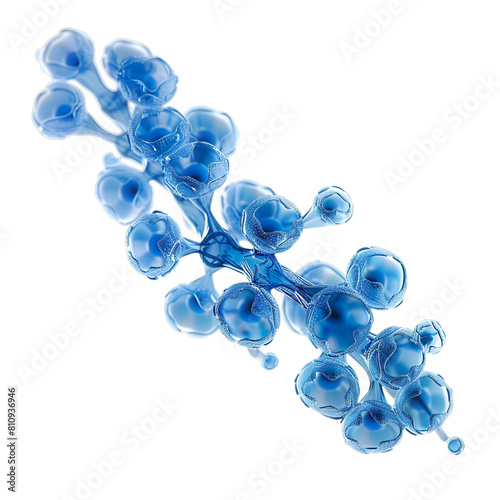 Front view of a single cyanobacterium with glycogen granules isolated on a white transparent background