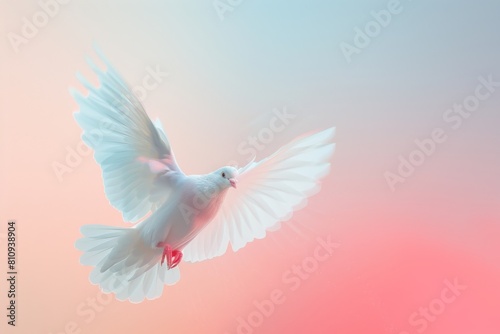 White Bird Soaring in Pink and Blue Sky © Cool Free Games